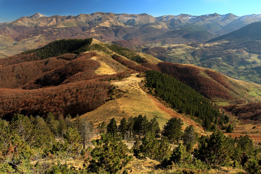 Long mountain ridge of Pashallore stretching across the Sharr Mountains with dramatic peaks and alpine meadows
